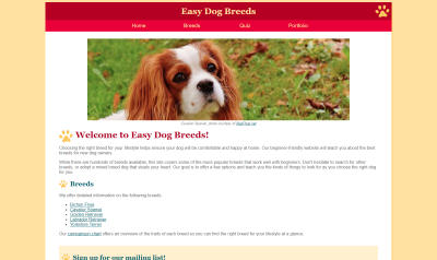 Easy Dog Breeds